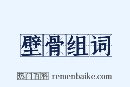 壁骨组词是什么意思的图片